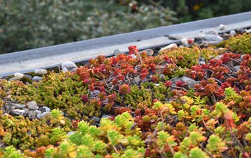 the cost of Cawkwell green roof installation