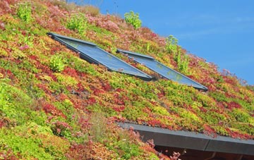 Cawkwell living roof systems